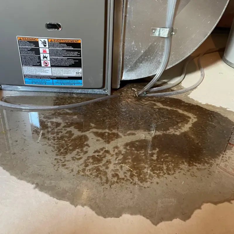 Appliance Leak Cleanup in Maunawili, HI