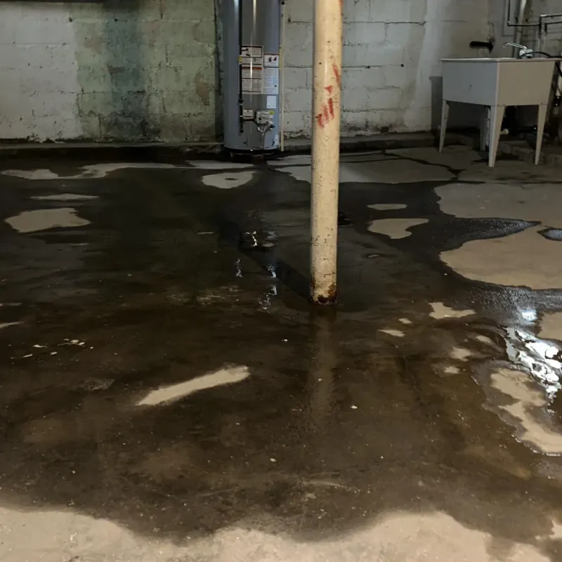 Emergency Water Extraction And Removal in Maunawili, HI